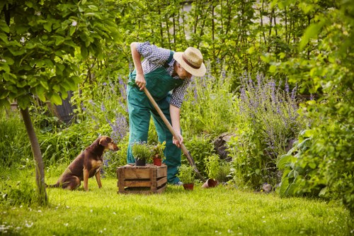 Garden design and build project in a Highbury residential outdoor space