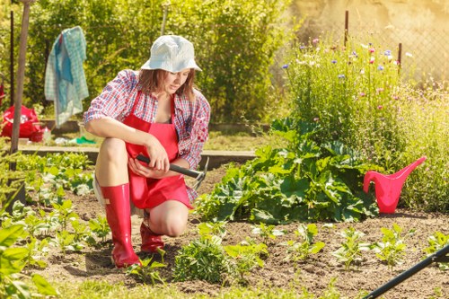 Landscaping estimate for a suburban property with garden cleanup needs