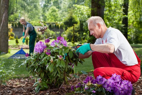 Cookie policy introduction for Landscaping Highbury website