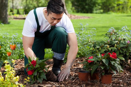 Installing a French drain in a Highbury backyard garden