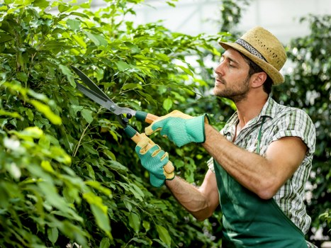 Final review of a landscaping complaint resolution