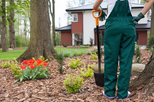Balanced planting and hardscape features in a Highbury landscape